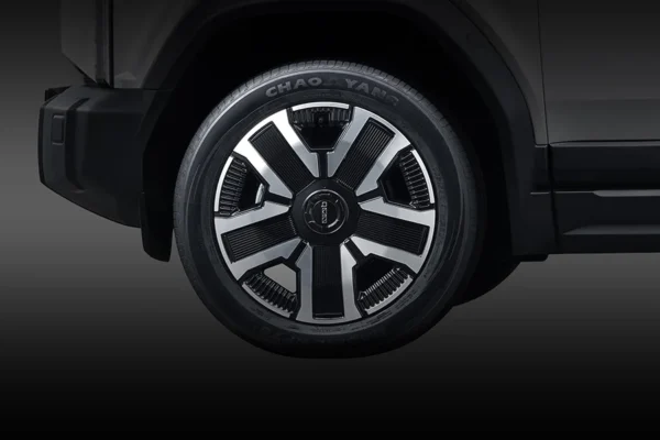 CHERY J6